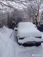 -3°C→15°C→0°C!河南开启"四季如疯"模式!这些地方初三下雪…… - 河南一百度