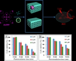 白锋教授课题组在国际顶级期刊Nano Letters及ACS Nano上发表系列学术论文 - 河南大学