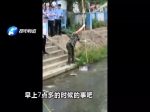 荥阳桃花谷黄河大桥下，一男子独自下河游泳被冲走! - 河南一百度