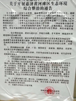 要拆迁了，郑州黄河滩区600多只流浪狗呼唤新家 - 河南一百度