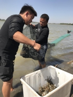 雁鸣湖大闸蟹上市！中牟向哄抬物价、缺斤短两等行为说不 - 河南一百度