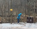 河南明日大部分地区有小到中雨 局地雨夹雪或小到中雪 - 河南一百度