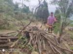 为搞旅游建停车场，登封26亩林地被毁! - 河南一百度