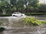 雨继续下！河南今天再迎降雨，这些地区将被中雨、暴雨“浇透” - 河南一百度