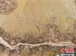 黄河小浪底暂停调水调沙 河床变身“浮雕版画” - 中国新闻社河南分社