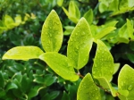 晴天回归？河南这场降雨没下够！今晚有中雨 - 河南一百度