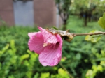 晴天回归？河南这场降雨没下够！今晚有中雨 - 河南一百度