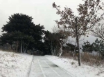 郑州、洛阳……河南多地迎来降雪!更可怕的是…… - 河南一百度