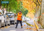 美炸了!郑州街头落叶被拍成大片 - 河南一百度