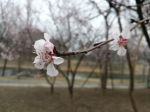 下周前半段有冷风 后半段全省有降雨 - 河南一百度