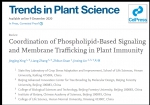 省部共建作物逆境适应与改良国家重点实验室邢晶晶博士联合北京林业大学林金星团队在Trends in Plant Science杂志上发表最新综述论文 - 河南大学