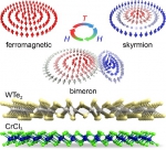 物理与电子学院博士研究生在《Advanced Functional Materials》发表研究论文 - 河南大学