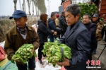 10月12日，山西省介休市，来自河南卫辉灾后复种的1.3万斤蔬菜运至山西洪灾地区，村民卸运物资。今年7月，卫辉市遭遇特大暴雨袭击，中国各地的救援力量驰援卫辉，其中就有来自介休市的救援队伍和救灾物资。近日，山西多地遭遇洪涝灾害，卫辉市立即组织救援队伍，携1.3万斤蔬菜，以及各类救灾物资驰援介休市受灾地区。河南卫辉这次捐赠的1.3万斤蔬菜，来自该市曾受灾地区之一的上乐村镇，也是当地农民灾后复种的蔬菜。 中新社记者 韦亮 摄 - 中国新闻社河南分社