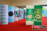 河南洛阳：观众参观“城市记忆”插画巡展 - 中国新闻社河南分社