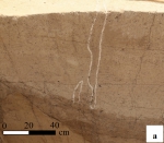 双槐树遗址5300年至5000年前发生地震 加速了“河洛古国”的衰落 - 河南一百度